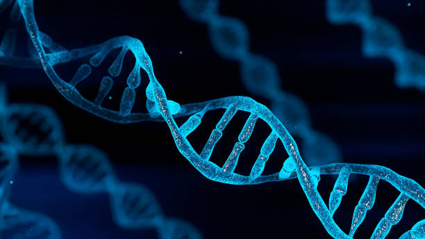 DecodeME Study: What ME/CFS Genes Really Mean for Recovery