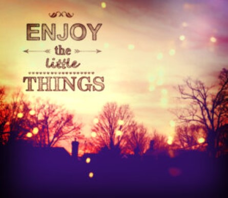 The Switch for life-enhancement, rather than illness recovery…