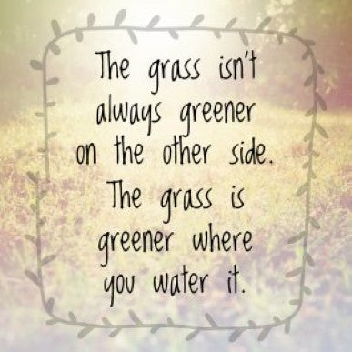 Sorting headaches, back pain and social anxiety with The Switch